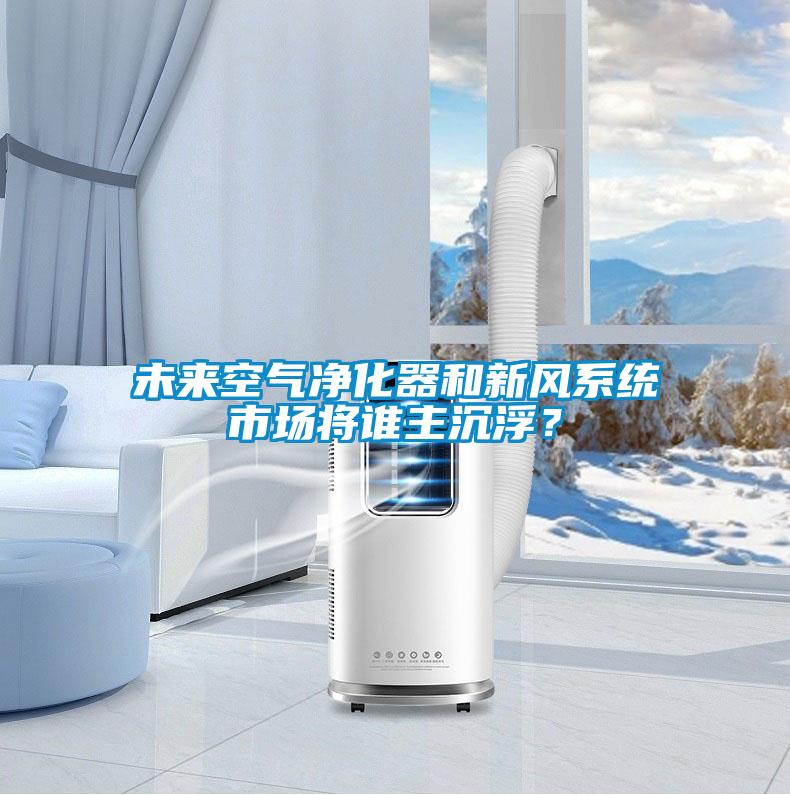 未來(lái)空氣凈化器和新風(fēng)系統(tǒng)市場(chǎng)將誰(shuí)主沉??？
