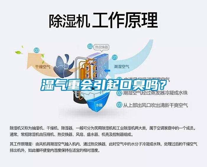 濕氣重會引起口臭嗎？