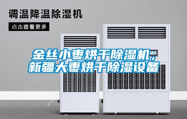 金絲小棗烘干除濕機(jī)，新疆大棗烘干除濕設(shè)備