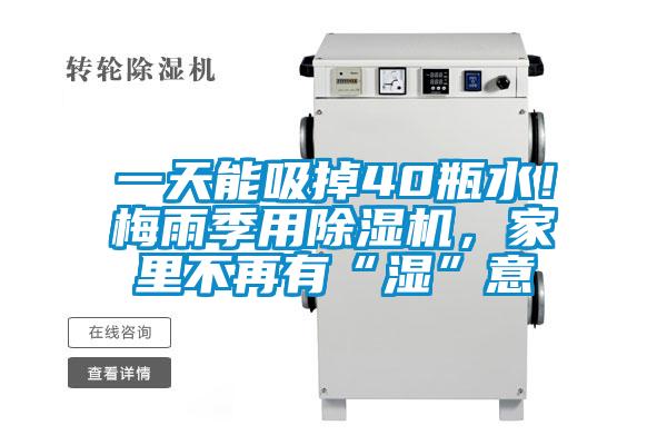 一天能吸掉40瓶水！梅雨季用除濕機(jī)，家里不再有“濕”意