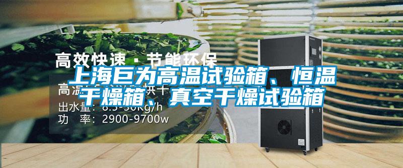 上海巨為高溫試驗(yàn)箱、恒溫干燥箱、真空干燥試驗(yàn)箱