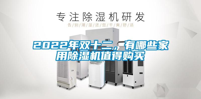 2022年雙十二，有哪些家用除濕機值得購買