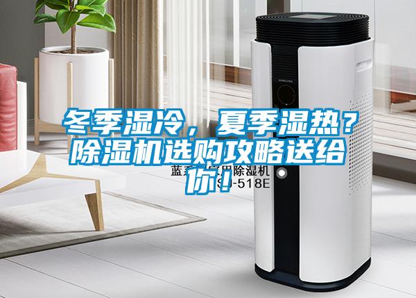 冬季濕冷，夏季濕熱？除濕機選購攻略送給你！