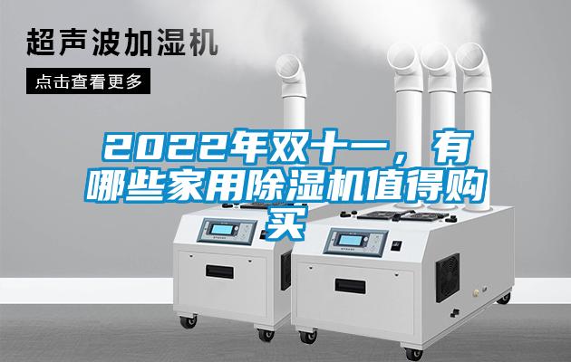 2022年雙十一，有哪些家用除濕機(jī)值得購買