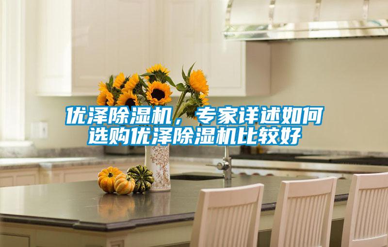 優(yōu)澤除濕機，專家詳述如何選購優(yōu)澤除濕機比較好