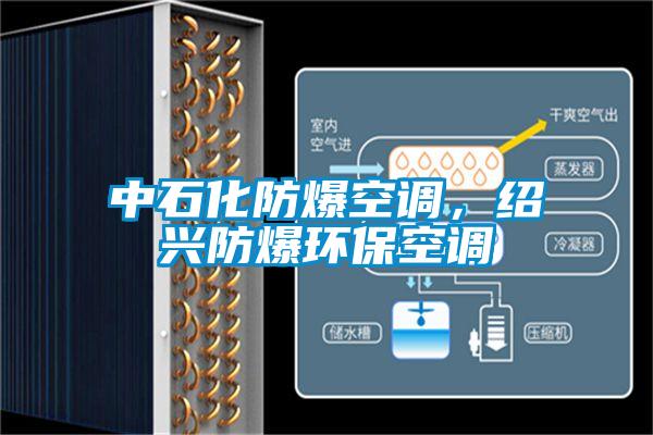 中石化防爆空調(diào)，紹興防爆環(huán)?？照{(diào)