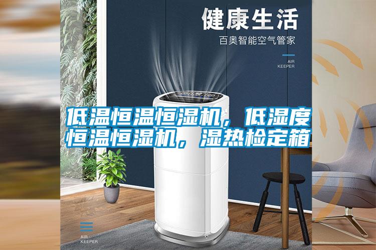 低溫恒溫恒濕機(jī)，低濕度恒溫恒濕機(jī)，濕熱檢定箱