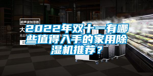 2022年雙十一有哪些值得入手的家用除濕機(jī)推薦？