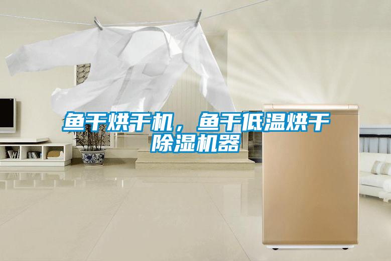 魚(yú)干烘干機(jī)，魚(yú)干低溫烘干除濕機(jī)器