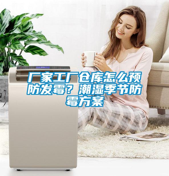 廠家工廠倉庫怎么預防發(fā)霉？潮濕季節(jié)防霉方案