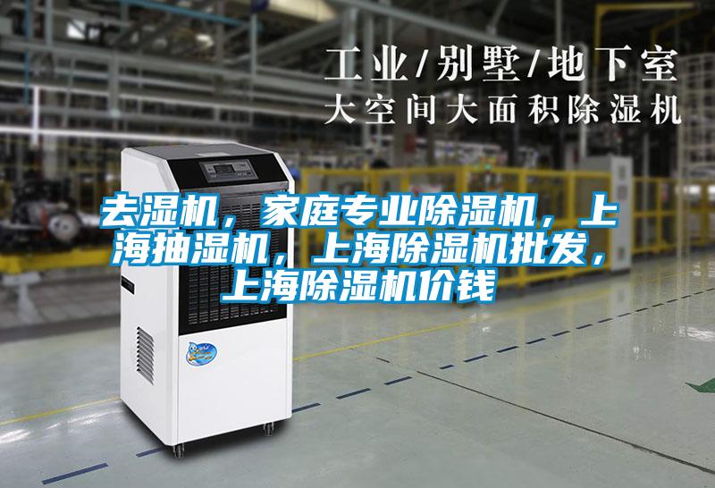 去濕機(jī)，家庭專業(yè)除濕機(jī)，上海抽濕機(jī)，上海除濕機(jī)批發(fā)，上海除濕機(jī)價(jià)錢