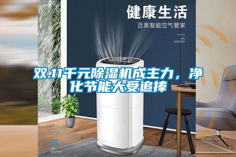 雙.11千元除濕機成主力，凈化節(jié)能大受追捧