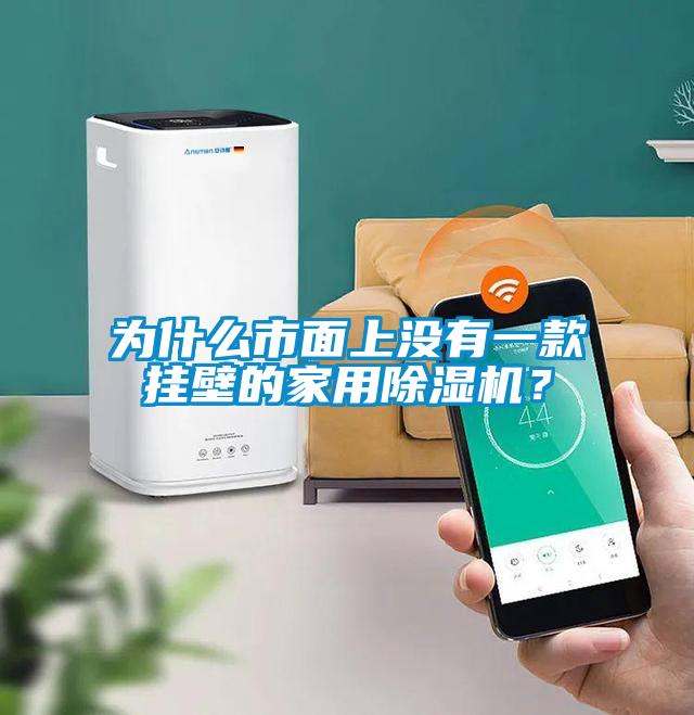 為什么市面上沒有一款掛壁的家用除濕機(jī)？