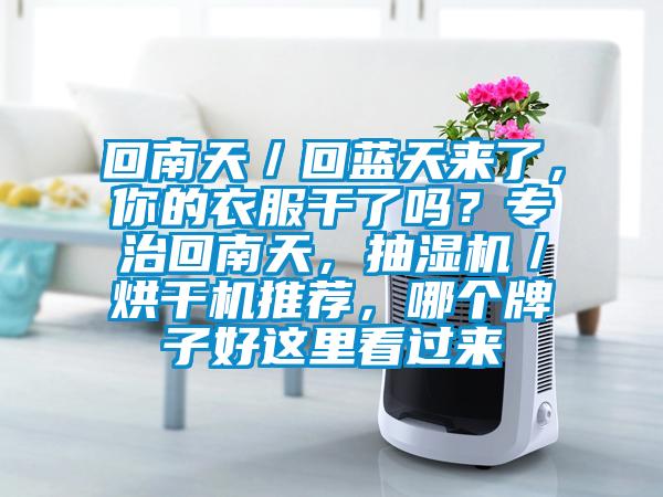 回南天／回藍天來了，你的衣服干了嗎？專治回南天，抽濕機／烘干機推薦，哪個牌子好這里看過來