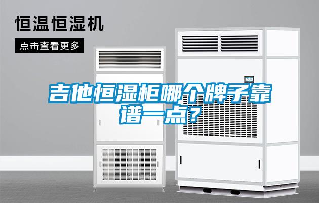 吉他恒濕柜哪個(gè)牌子靠譜一點(diǎn)？