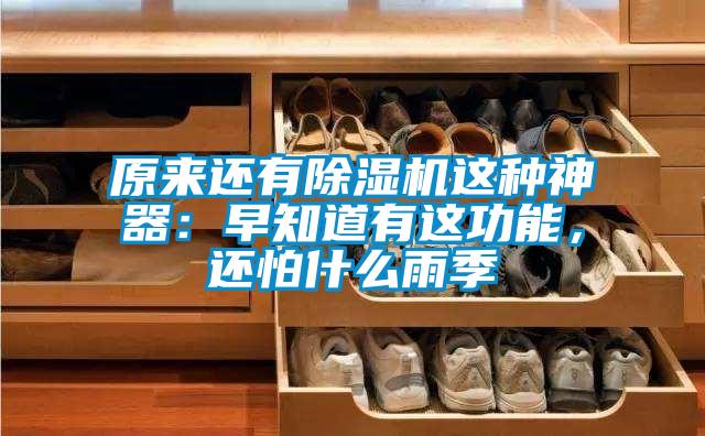 原來(lái)還有除濕機(jī)這種神器：早知道有這功能，還怕什么雨季