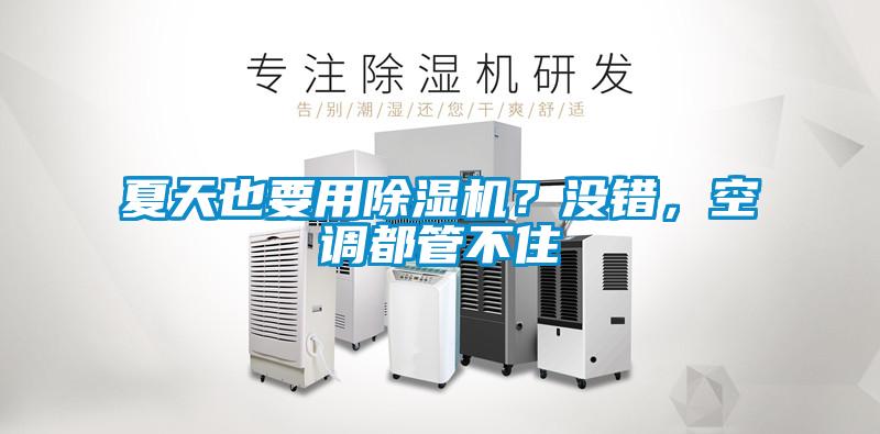 夏天也要用除濕機(jī)？沒(méi)錯(cuò)，空調(diào)都管不住