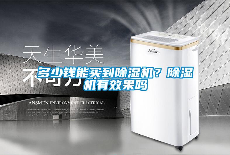 多少錢能買到除濕機(jī)？除濕機(jī)有效果嗎