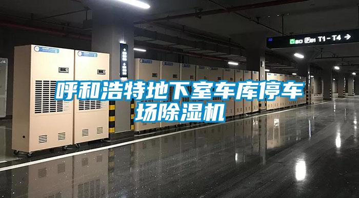 呼和浩特地下室車庫停車場(chǎng)除濕機(jī)