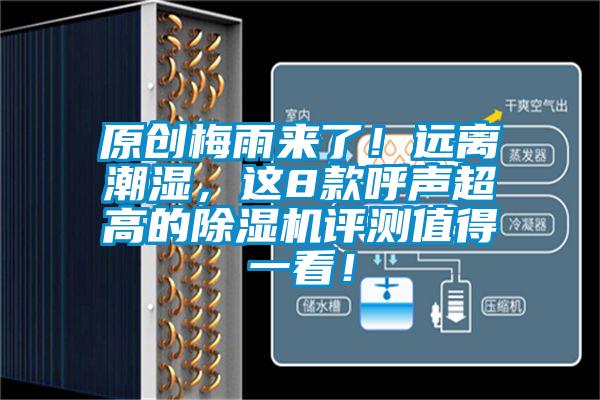 原創(chuàng)梅雨來了！遠離潮濕，這8款呼聲超高的除濕機評測值得一看！