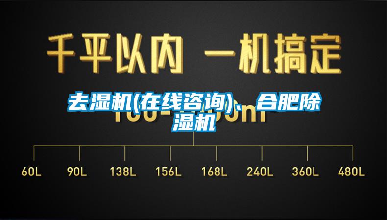 去濕機(jī)(在線咨詢)、合肥除濕機(jī)