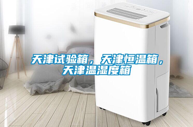 天津試驗箱，天津恒溫箱，天津溫濕度箱