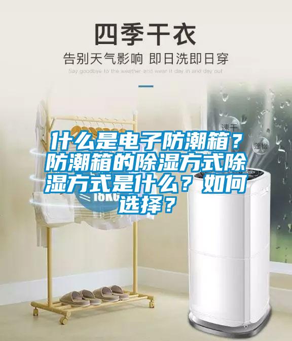 什么是電子防潮箱？防潮箱的除濕方式除濕方式是什么？如何選擇？