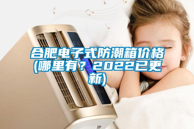 合肥電子式防潮箱價格(哪里有？2022已更新)