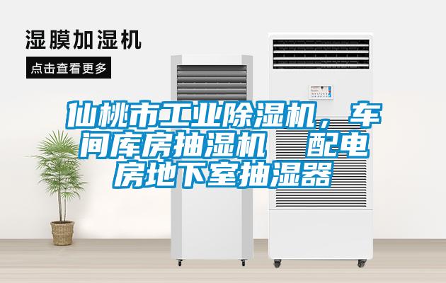 仙桃市工業(yè)除濕機，車間庫房抽濕機  配電房地下室抽濕器