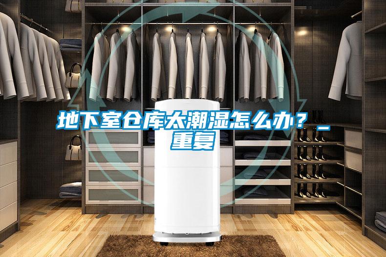 地下室倉(cāng)庫太潮濕怎么辦？_重復(fù)