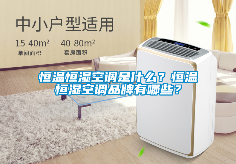 恒溫恒濕空調(diào)是什么？恒溫恒濕空調(diào)品牌有哪些？