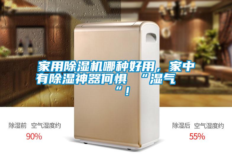 家用除濕機(jī)哪種好用，家中有除濕神器何懼 “濕氣 “！