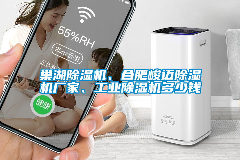 巢湖除濕機(jī)、合肥峻邁除濕機(jī)廠家、工業(yè)除濕機(jī)多少錢(qián)