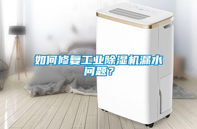 如何修復(fù)工業(yè)除濕機(jī)漏水問(wèn)題？