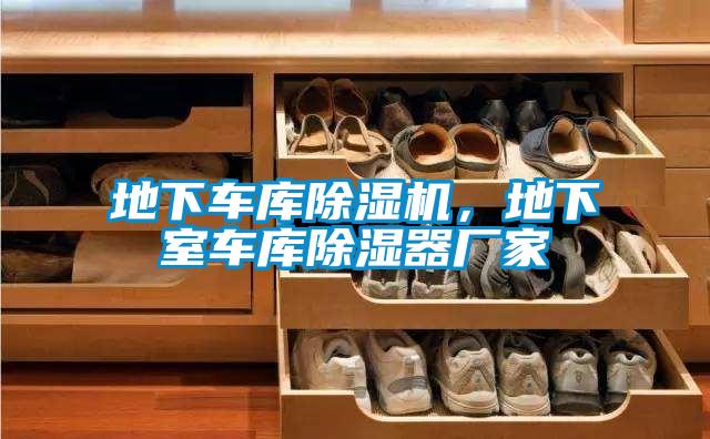 地下車庫除濕機，地下室車庫除濕器廠家