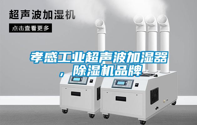 孝感工業(yè)超聲波加濕器，除濕機(jī)品牌
