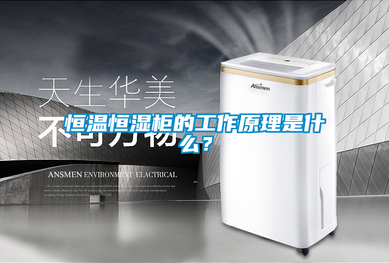 恒溫恒濕柜的工作原理是什么？