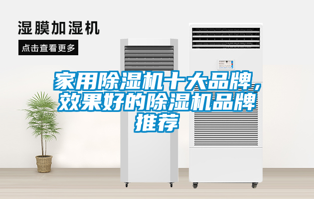家用除濕機(jī)十大品牌，效果好的除濕機(jī)品牌推薦