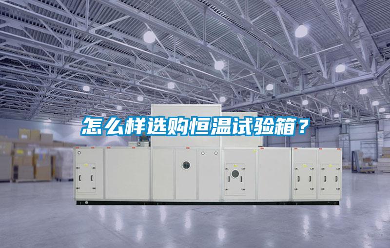 怎么樣選購恒溫試驗箱？