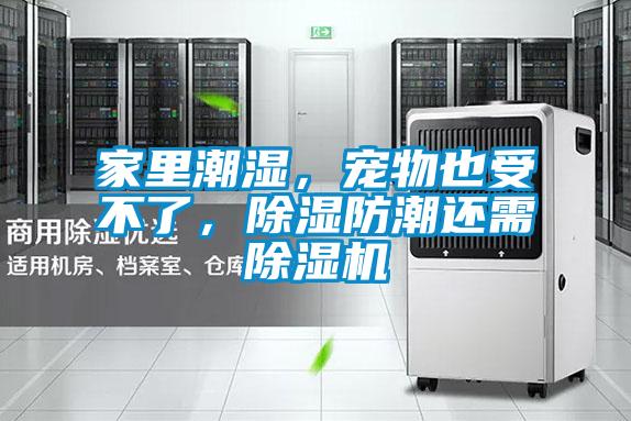 家里潮濕，寵物也受不了，除濕防潮還需除濕機(jī)