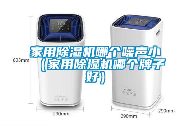 家用除濕機哪個噪聲?。矣贸凉駲C哪個牌子好）