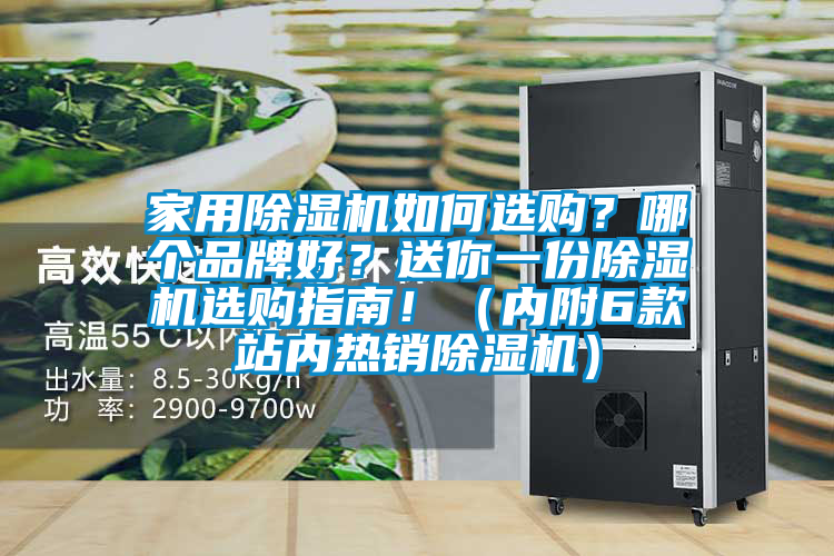 家用除濕機如何選購？哪個品牌好？送你一份除濕機選購指南?。▋雀?款站內熱銷除濕機）
