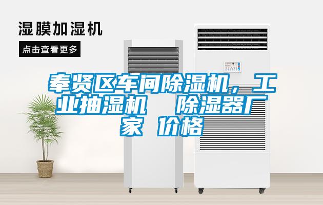 奉賢區(qū)車間除濕機(jī)，工業(yè)抽濕機(jī)  除濕器廠家 價格