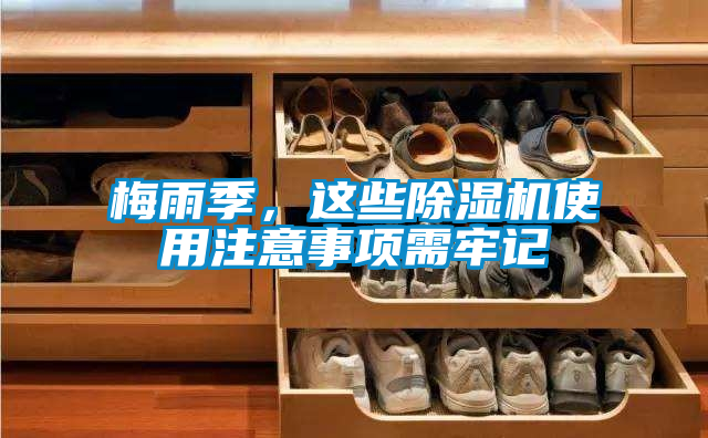 梅雨季，這些除濕機使用注意事項需牢記