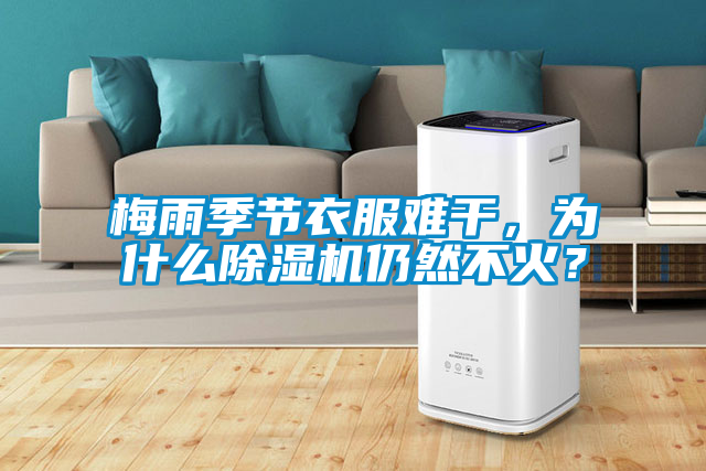 梅雨季節(jié)衣服難干，為什么除濕機(jī)仍然不火？