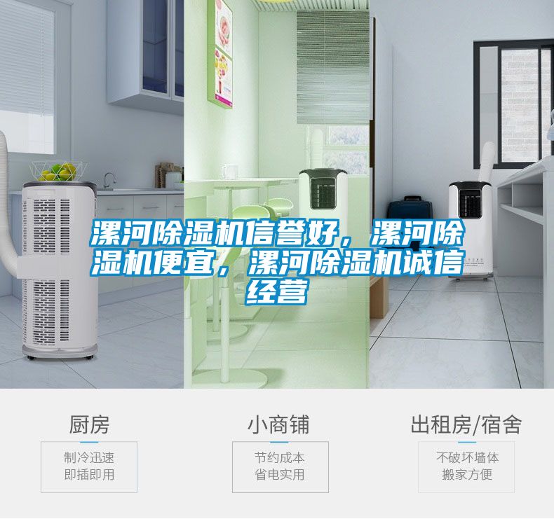 漯河除濕機信譽好，漯河除濕機便宜，漯河除濕機誠信經(jīng)營