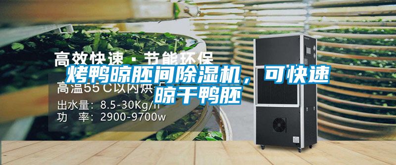 烤鴨晾胚間除濕機，可快速晾干鴨胚