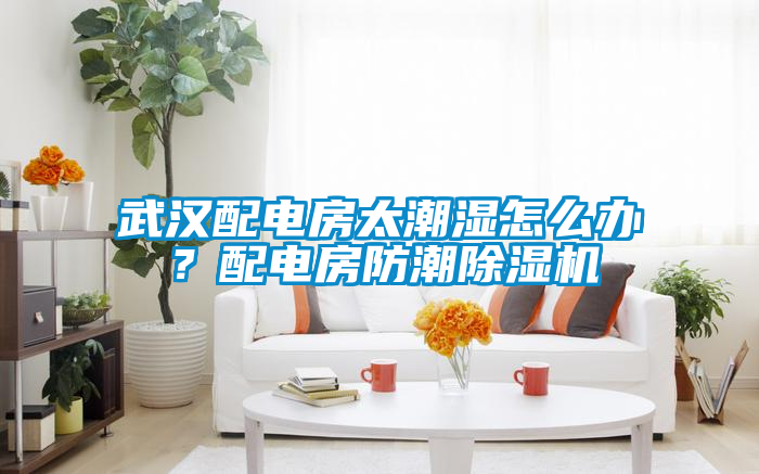 武漢配電房太潮濕怎么辦？配電房防潮除濕機