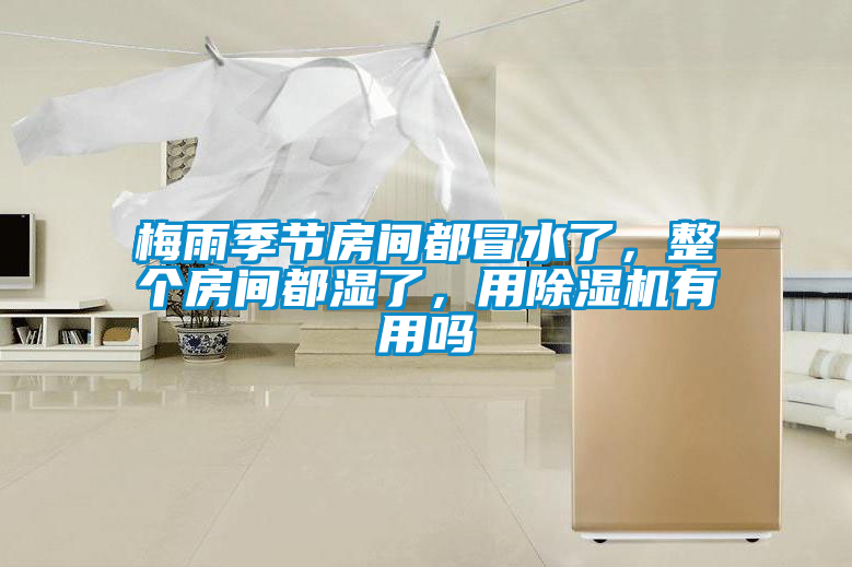 梅雨季節(jié)房間都冒水了，整個(gè)房間都濕了，用除濕機(jī)有用嗎