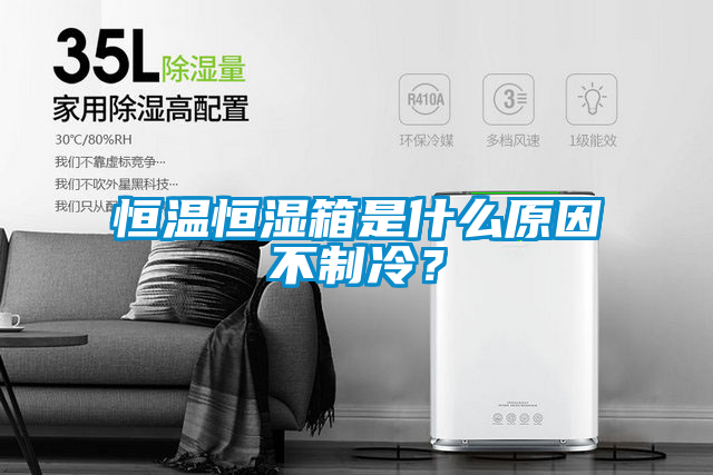 恒溫恒濕箱是什么原因不制冷？